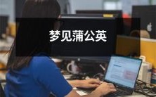 在清晨初醒时梦见身处于绿茵茵的草地上,风吹过来一朵朵晃晃荡荡的蒲公英,在阳光的照射下闪烁着金黄色的色彩,让人心旷神怡的愉悦情感