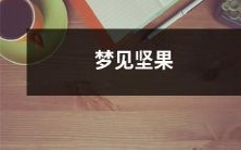 梦见坚果:潜意识中对身心健康的积极预示和营养需求的象征