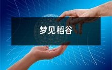 在梦中看到优美稻谷的美丽景象:一个富有想象力和富有诗意的睡前故事