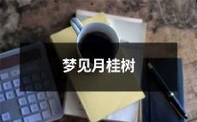 在梦中看到一棵茂盛的月桂树,令人陶醉不已的美景