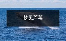 在清晨醒来时想起的梦中景象:梦见自己置身在广袤的沼泽地区,群鸟啁啾声中静静躺在洁白细腻的芦苇荡中