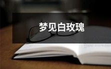 我做梦梦见了一朵纯白色的娇艳玫瑰花,它散发出令人陶醉的清香,令我陷入了无尽的幸福和慈爱情感之中