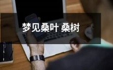 在梦中见到桑树叶子的经历及其表示的可能涵义