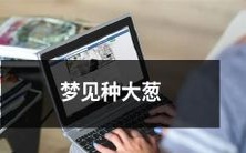 梦见在农田里种植巨大的葱,恍如真实场景出现在眼前