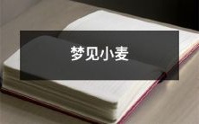 在梦中看到金黄色的小麦田,闻到芳香的麦穗,感受到自然的清新与诗意的挥洒