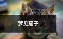 我在梦中看到了一串紫色的茄子,它们巨大而美丽,让我陶醉不已!