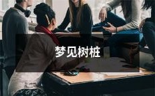 穿过生命的路途——我曾经梦见树桩在林间耸立,引领我追溯悸动往事的足迹