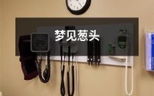 在梦中遇见葱头:探讨梦境内食物的象征意义与潜在含义