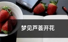 在梦中目睹芦荟盛开,一副令人惊叹的壮观景象:深入解读梦中芦荟绽放的奥秘!