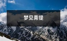 梦见在清晨的花田中品尝清新青提味道的美妙体验