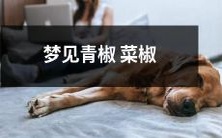 在梦中看到绿色的青椒和红色的菜椒:一份令人迷惑的梦境?