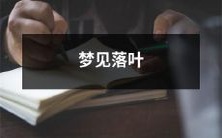 梦见落叶翩翩落下,铺满大地,仿佛一个无声的秋天之吻,让人深感季节交替之美的梦境