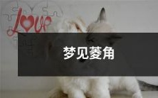 在梦中遇见菱角:探索潜意识、解析象征意义,让你更深刻地理解梦的含义