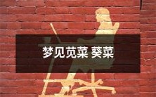 做梦梦见苋菜和葵菜,梦境中这两种蔬菜的形态和色泽是怎样的呢?