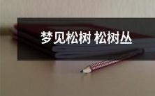 在梦中眺望的浓密松林与翠绿的松树丛,一朵又一朵醉人的美丽梦境