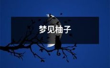 在梦中遇见柚子的美妙经历:我梦见走在柚林间,柚树绿意盎然,数不尽的柚子挂满枝头,望着它们如暖阳一般温暖的色调,心中泛起阵阵淡淡的喜悦和欢欣