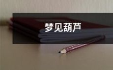 做梦中出现了神秘葫芦:探寻梦境迷失之旅中的神秘符号与象征意义