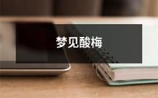 在梦中体验到了酸梅的味道:迷人的梦境中的酸梅滋味