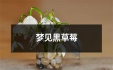 在梦中遇见黑色的草莓:探究其象征意义与潜在心理因素