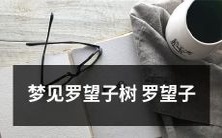 在梦中遇见罗望子树的经历:探索罗望子浓郁的神秘气息与迷人景象