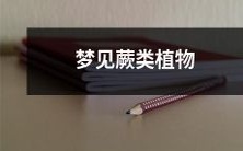 在梦中看到蕨类植物的体验:一种神秘、美丽且难以捉摸的梦境