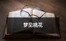 缘,是什么意义?还是偶然?揭秘桃花缘背后的传说与演变历程