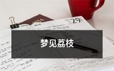 在清晨醒来的时候,突然闻到荔枝的香气——一场梦境中的奇妙旅程