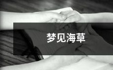 在梦中走过沙滩,突然出现了一片葱绿的海草,漂浮在清澈的海水中,如诗如画幻化出美妙的梦境