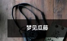 在梦中看见生长茂盛、结出肥美瓜果的瓜藤——一场难忘的幻境体验