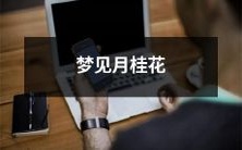 盛开的清香,留连梦中人:一场月桂花盛宴的梦境体验