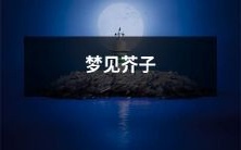 在梦中见到芥子的奇妙体验