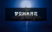 在梦中目睹树木绽放鲜花的惊喜瞬间:一场迷幻的树木开花之旅