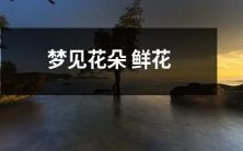 在梦中目睹绚烂鲜花的美妙景象