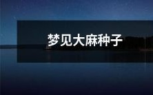 睡梦中的奇妙经历:在梦中发现大麻种子,令人心神荡漾的不可思议体验