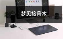 在梦中遇见了盛开的白色接骨木,它在月光下闪着银色的光芒,深深地震撼了我的灵魂