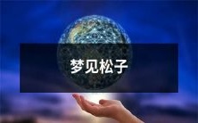 在梦中意外相遇,畅游于松林间,窥见松鼠嬉戏,感受自然的神秘力量——梦见松子的奇妙体验