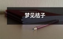 鲜艳多汁的桔子,带来令人愉悦的梦境:梦见桔子的美妙体验