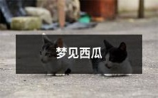 梦见长成又甜又脆的西瓜,染上一片夏日热浪的红晕的生动而清晰的梦境