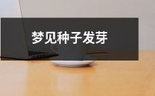 在梦中见到种子萌芽并成长:一个充满生态与生命的梦境体验