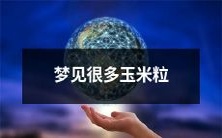 在梦中经历丰收季节:大量的惬意玉米粒涌入我的视野