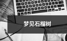 在梦中见到石榴树的意义及解释:探讨潜意识中的石榴树象征与象征意义的深层解读