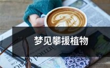 在梦中观察到攀援植物缠绕的景象,感受到它们威武坚强的气息和独特的美丽特征