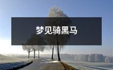 在梦中看到自己骑着神秘的黑马,感受到神秘的氛围和无尽的未知可能性