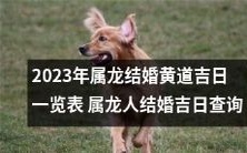 2023年属龙人结婚吉日查询:详细的黄道吉日一览表
