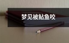 睡梦中目睹鲇鱼啃咬身体,传达潜意识信息的神秘梦境体验