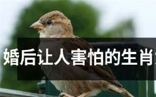 婚后带来烦恼的八种具有众所周知个性特征的生肖女性们