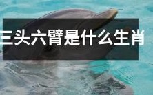 ?据说拥有三头六臂的生肖是哪一个?