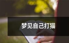 醒来后感受深刻的梦境:我在梦中意外地打了一只猫,并反思自己对待动物的态度和行为方式