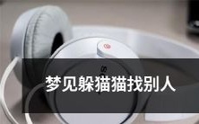在梦中躲猫猫查找他人:一个充满隐喻和悬念的神秘梦境