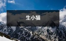 生下小猫咪:经历快乐、疼痛、责任和成长的奇妙旅程